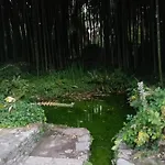 La Bella Ninfa *