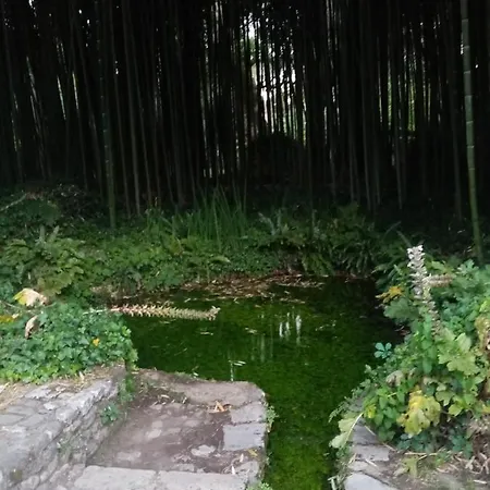 La Bella Ninfa *