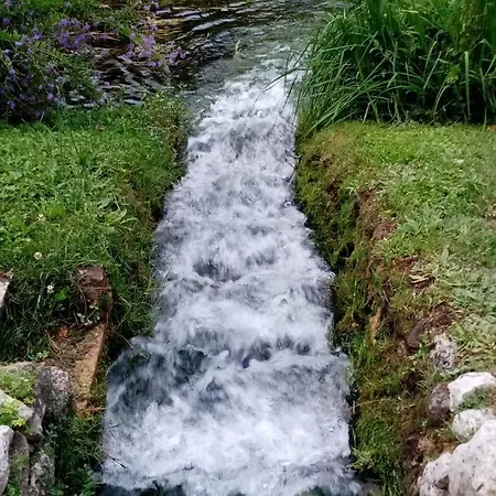 La Bella Ninfa 세르모네타