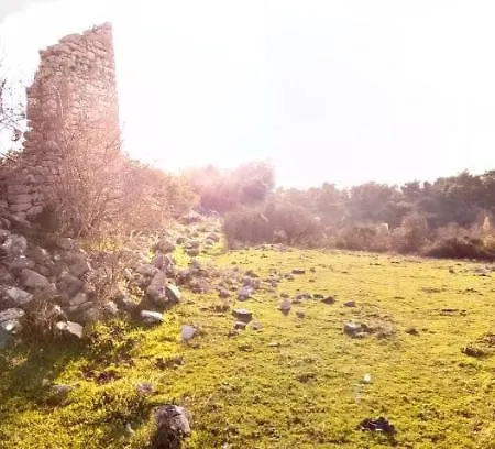 La Bella Ninfa