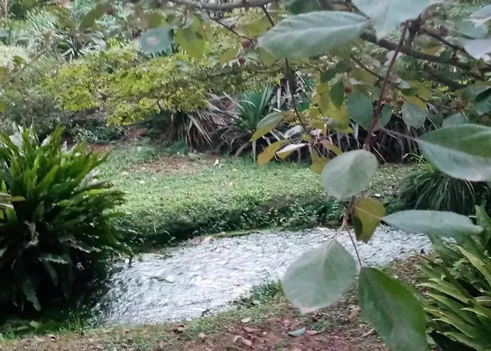 La Bella Ninfa