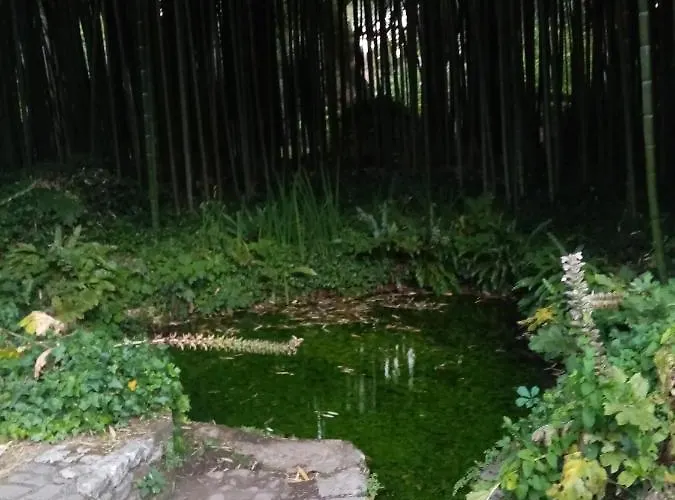 La Bella Ninfa *
